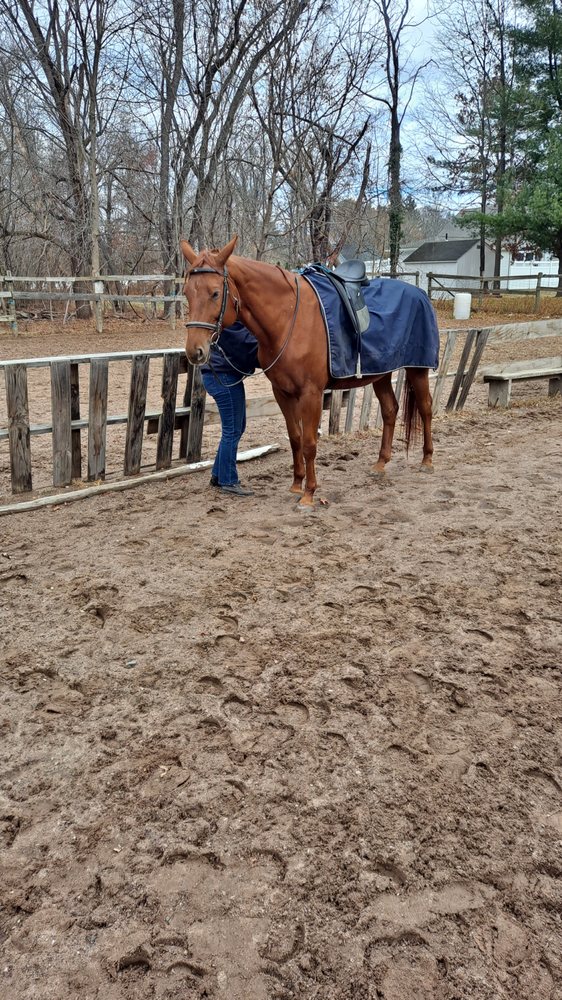 Hidden Meadow Equestrian Center - equestrian in Glastonbury, CT