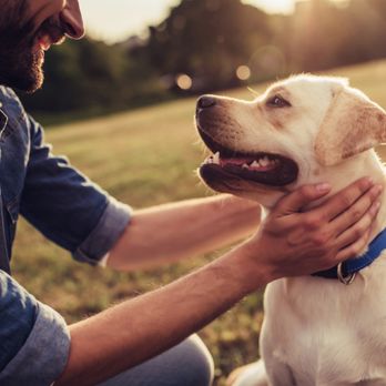 Pittsburgh Pet Cremation - Pet Cremation Services Near Me - Carnegie, Pennsylvania