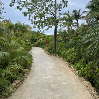 Secrets Moxche Playa del Carmen - Hotels Near Me - Playa del Carmen, ROO Secrets Moxche Playa del Carmen - Hotels Near Me - Playa del Carmen, ROO