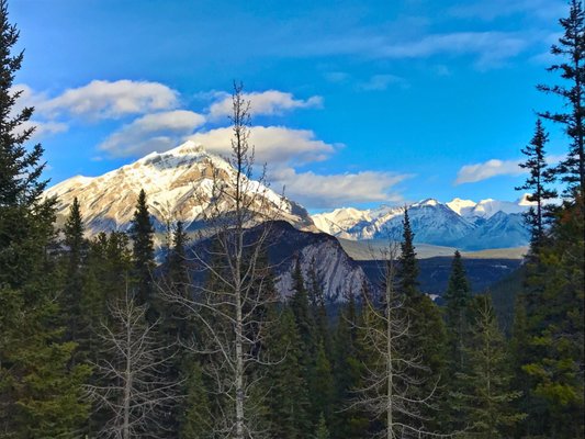 Sulphur Mountain by null