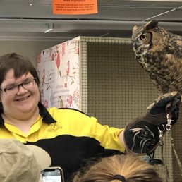 Great horned owl and educator Great horned owl and educator