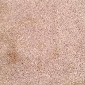 Albert's Carpet Cleaning - Before - Carpet Cleaning Near Me - Takoma Park, Maryland