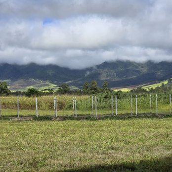 Sweet Land Farm - view - Cheese Shops Near Me - Waialua, Hawaii Sweet Land Farm - view - Cheese Shops Near Me - Waialua, Hawaii
