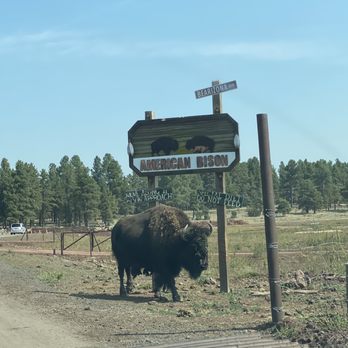 Bearizona - Zoos Near Me - Williams, Arizona