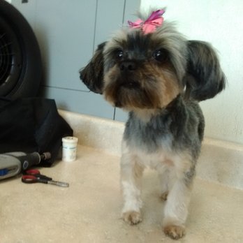 Grooming By Sharon - Pet Groomers Near Me - Perris, California