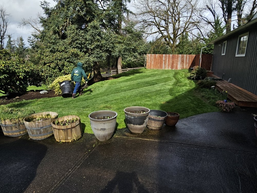 OregonScapes - tree service in Eugene, OR