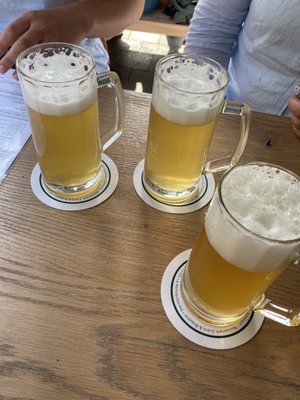 Brauhaus Bönnsch by null