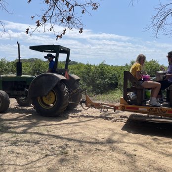 Tammen Treeberry Farm - Pick Your Own Farms Near Me - Wilmington, Illinois