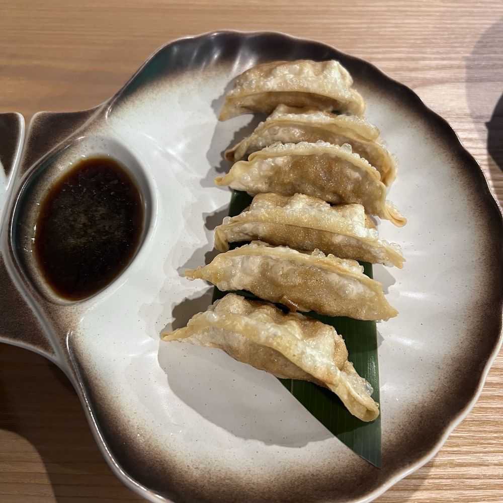 Sakura Ramen - Fried pork pot stickers - Ramen Near Me - Coral Springs, Florida Sakura Ramen - Fried pork pot stickers - Ramen Near Me - Coral Springs, Florida