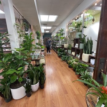 Botanic and Luxe - Inside the shop - Gift Shops Near Me - Santa Cruz, California Botanic and Luxe - Inside the shop - Gift Shops Near Me - Santa Cruz, California