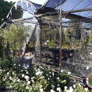 Present Perfect - Nurseries & Gardening Near Me - Pasadena, California Present Perfect - Nurseries & Gardening Near Me - Pasadena, California