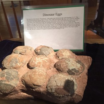 Karpeles Manuscript Library Museum - Dinosaur eggs. - Museums Near Me - Santa Barbara, California Karpeles Manuscript Library Museum - Dinosaur eggs. - Museums Near Me - Santa Barbara, California