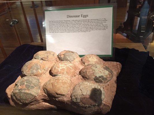 Karpeles Manuscript Library by null