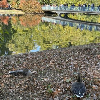 St James's Park - Parks Near Me St James's Park - Parks Near Me