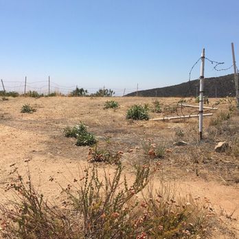 Potato Mountain - Bee Free now. - Hiking Near Me - Claremont, California Potato Mountain - Bee Free now. - Hiking Near Me - Claremont, California