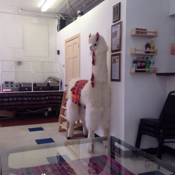 La Empanada Llama - Llama right in the shop! - Peruvian Near Me - Albany, New York La Empanada Llama - Llama right in the shop! - Peruvian Near Me - Albany, New York