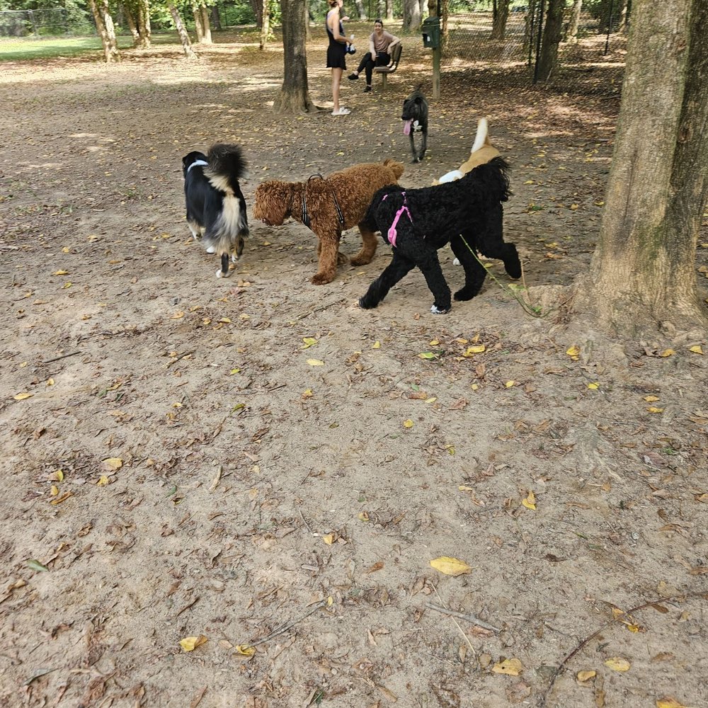 Nettles Park - Dog park - Parks Near Me - Clemson, South Carolina Nettles Park - Dog park - Parks Near Me - Clemson, South Carolina