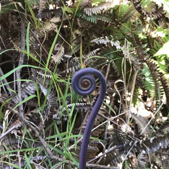 KapohoKine Adventures - Tours Near Me - Hilo, Hawaii