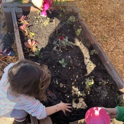 Early Childhood Learning Academy - Gardening