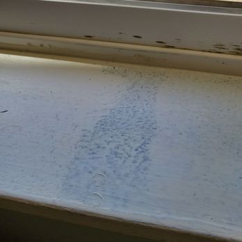 Zebra Restoration Services - This is their painting skills. - Damage Restoration Near Me - Rocklin, California Zebra Restoration Services - This is their painting skills. - Damage Restoration Near Me - Rocklin, California