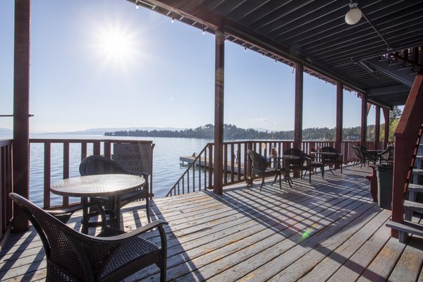 The Sitting Duck by null