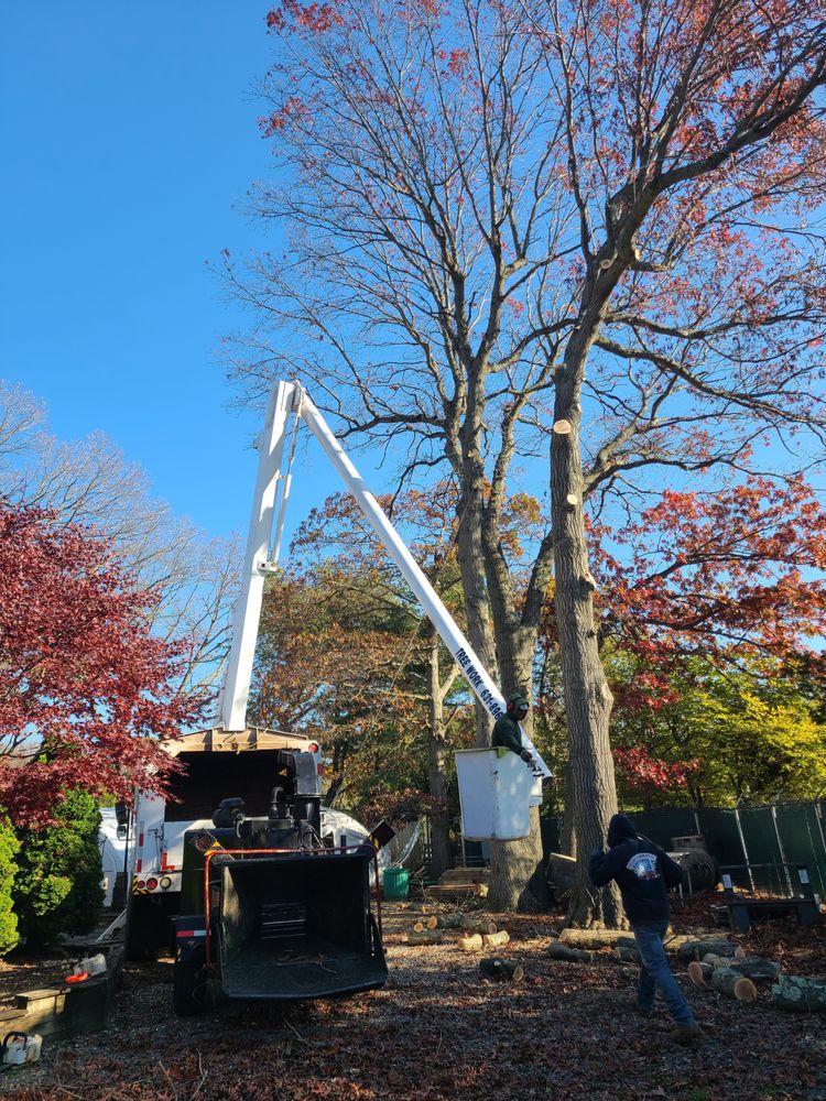 JJJ TREE AND LAWN SERVICES Updated September 2024 Huntington