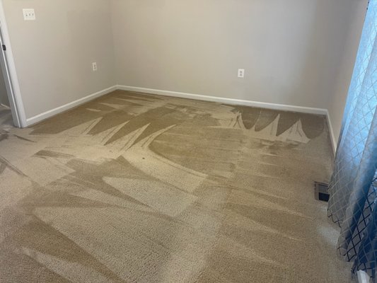 Groves Cleaning Services / Janitor's Closet by null