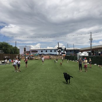 Fetch Park - Dog Parks Near Me - Atlanta, Georgia
