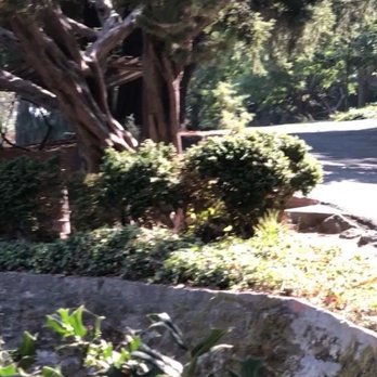 Gerstle Park - Walkways, brushes - Parks Near Me - San Rafael, California Gerstle Park - Walkways, brushes - Parks Near Me - San Rafael, California