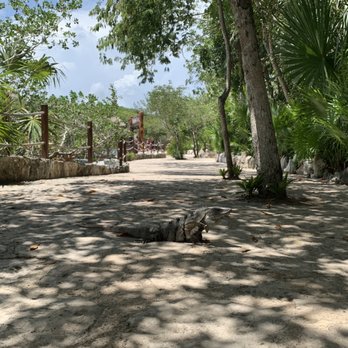 Xel-Há - Amusement Parks Near Me - Tulum, ROO Xel-Há - Amusement Parks Near Me - Tulum, ROO