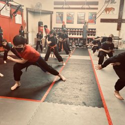 Seattle White Tiger Kung Fu - Dragon form has many iterations. Our youth students learn it to build strong legs with deep stances.