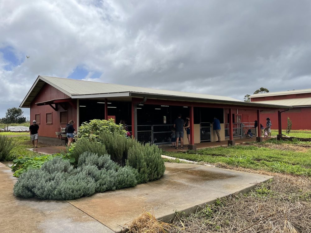 SWEET LAND FARM 82 Photos & 14 Reviews Cheese Shops 651031