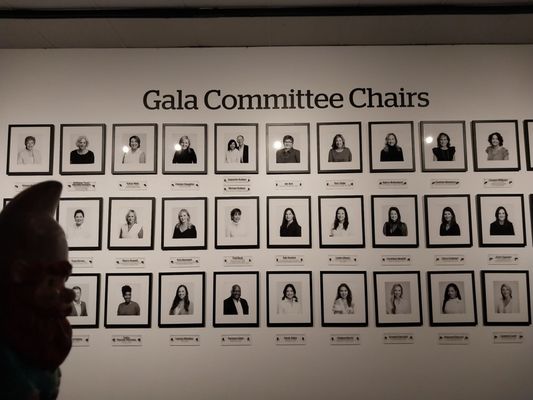 Louisiana Art & Science Museum by null