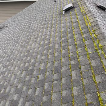 Choice Window & Gutter Cleaning - Before - Gutter Services Near Me - Monroe, Washington Choice Window & Gutter Cleaning - Before - Gutter Services Near Me - Monroe, Washington
