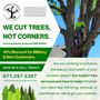 Photo of Climbing Monkeys Tree Services & Landscaping