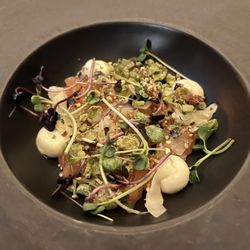 Kwiezien - Salmon