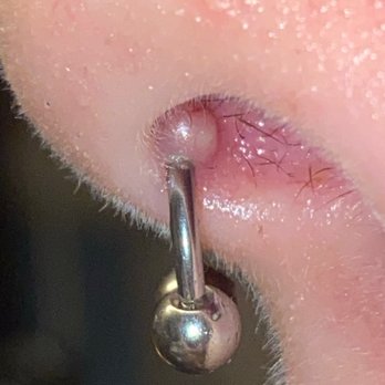 Adrenaline Tattoo Studio - septum piercing - Piercing Near Me - Chesterfield, Michigan Adrenaline Tattoo Studio - septum piercing - Piercing Near Me - Chesterfield, Michigan