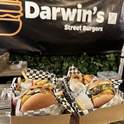 Darwin's Street Burgers - Cheeseburger, fries and onion rings
