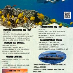 Hawaii Marine Life Charters