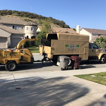 ELM Tree Care - First crew - Tree Services Near Me - Temecula, California ELM Tree Care - First crew - Tree Services Near Me - Temecula, California