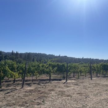 Windwalker Vineyards - the sun shining over the vineyard - Wineries Near Me - Somerset, California Windwalker Vineyards - the sun shining over the vineyard - Wineries Near Me - Somerset, California