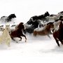 Photo of Ferme des Champs