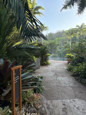 Sensei Lanai, A Four Seasons Resort by null