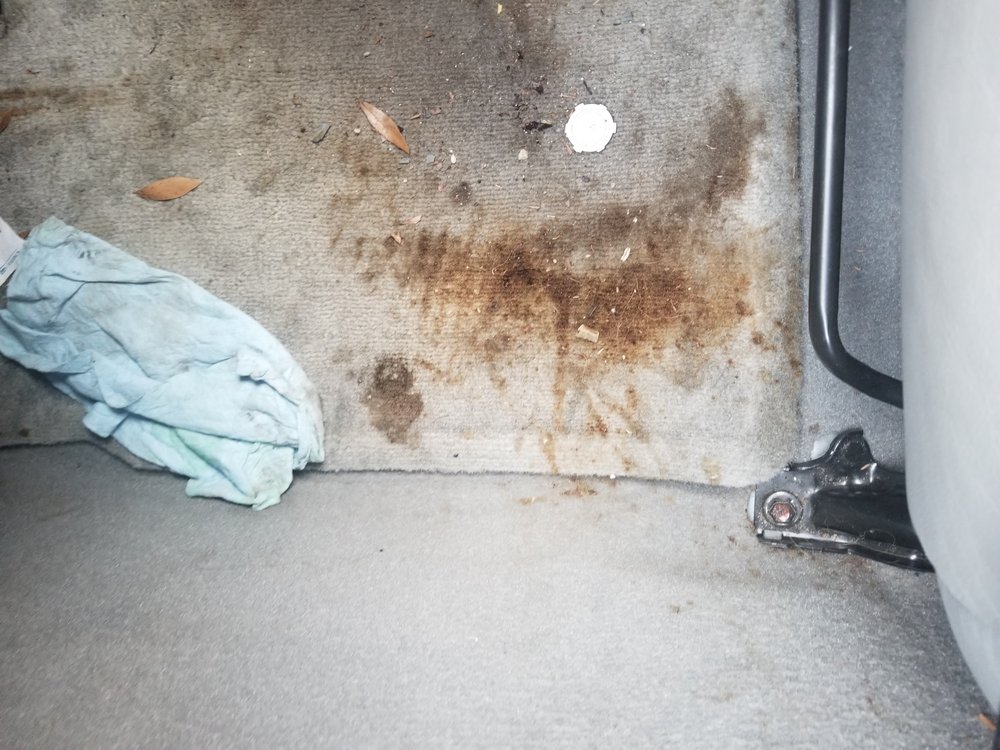 DAPHNE DETAIL AUTO DETAILNG Updated September 2024 8392 County Road 64, Daphne, Alabama