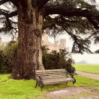Highclere Castle - Castles Near Me - Newbury, WBK