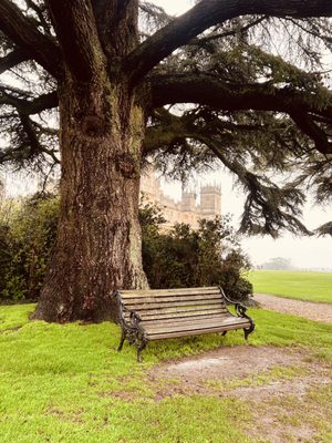 Highclere Castle by null