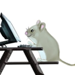 The Working Mouse - The Working Mouse