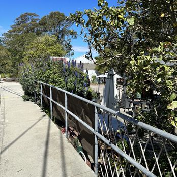 Windmill Cafe - Cafes Near Me - Santa Cruz, California