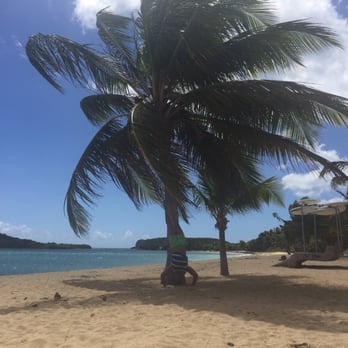 ArenaMar Sunbay's Café - Lunch with a view - Caribbean Near Me - Vieques, Puerto Rico