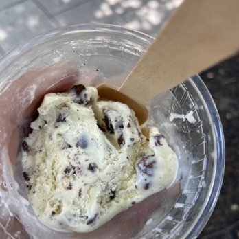 The Bent Spoon - Cicada chocolate chip ice cream - Ice Cream & Frozen Yogurt Near Me - Princeton, New Jersey The Bent Spoon - Cicada chocolate chip ice cream - Ice Cream & Frozen Yogurt Near Me - Princeton, New Jersey